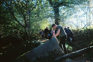 481795_10100196405420692_27253680_n